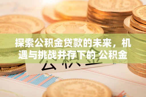 根河探索公积金贷款的未来，机遇与挑战并存下的 公积金贷款风险防控