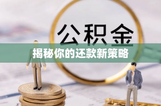 根河揭秘你的还款新策略