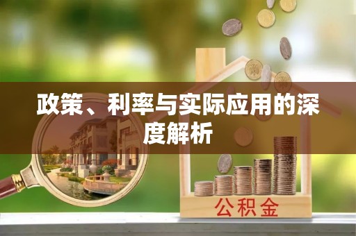根河政策、利率与实际应用的深度解析