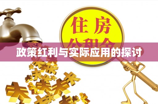 根河政策红利与实际应用的探讨