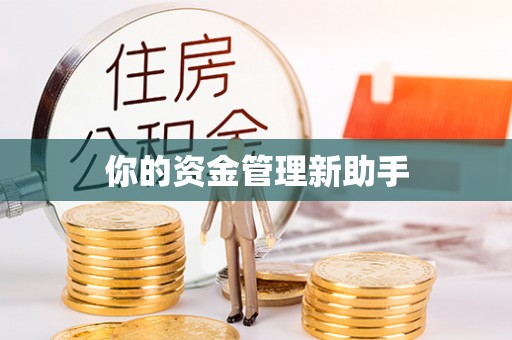根河你的资金管理新助手