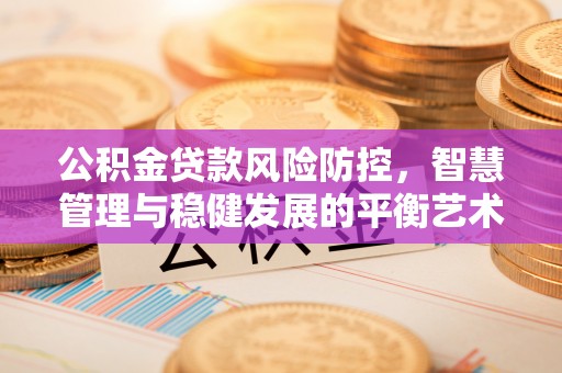 根河公积金贷款风险防控，智慧管理与稳健发展的平衡艺术