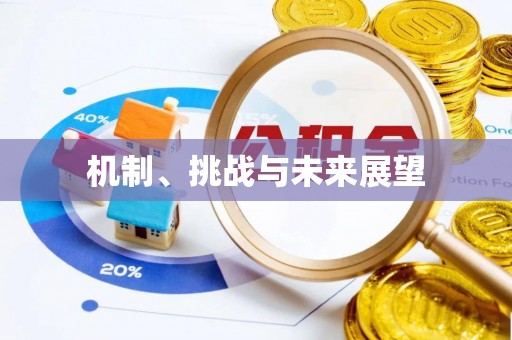 根河机制、挑战与未来展望